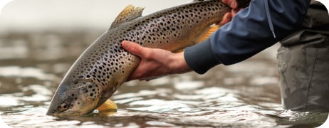 Настоящий мужской